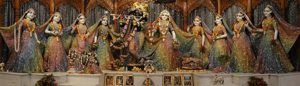 Image result for radha madhava mayapur