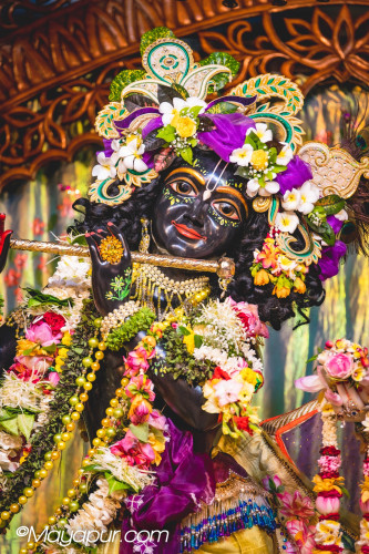 Daily Darshan