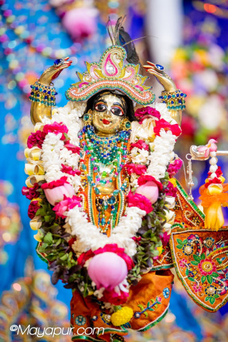 Daily Darshan