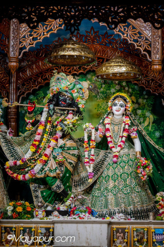 Daily Darshan