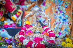 Daily Darshan