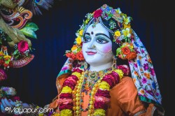 Daily Darshan