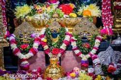 Daily Darshan