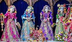 Daily Darshan
