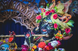 Daily Darshan