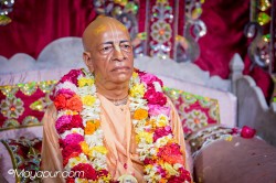 Daily Darshan