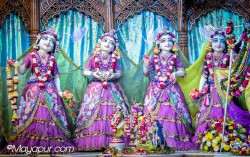 Daily Darshan