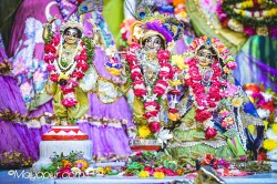 Daily Darshan