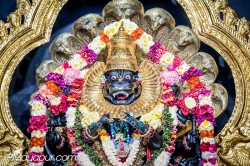 Daily Darshan