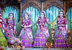 Daily Darshan