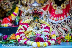 Daily Darshan