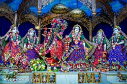 Daily Darshan