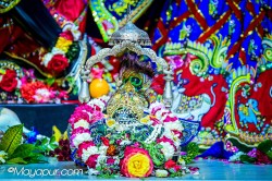 Daily Darshan