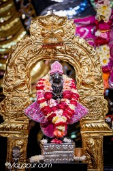 Daily Darshan
