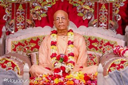 Daily Darshan