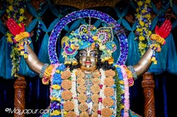 Daily Darshan