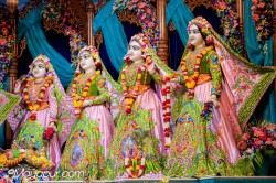 Daily Darshan