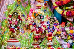 Daily Darshan