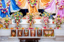 Daily Darshan