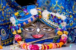 Daily Darshan