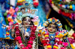 Daily Darshan