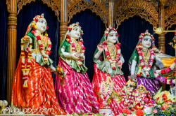 Daily Darshan