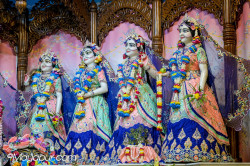 Daily Darshan
