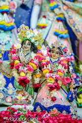 Daily Darshan