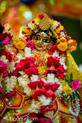Daily Darshan