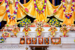 Daily Darshan