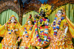 Daily Darshan