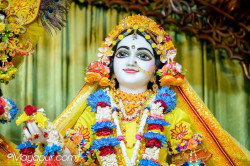 Daily Darshan