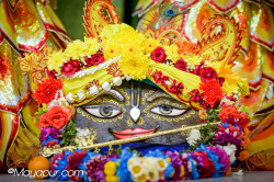 Daily Darshan