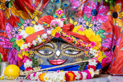 Daily Darshan