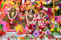 Daily Darshan