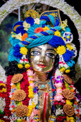 Daily Darshan
