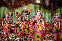 Daily Darshan