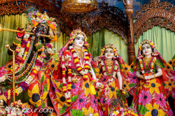 Daily Darshan