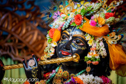 Daily Darshan