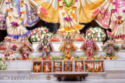 Daily Darshan
