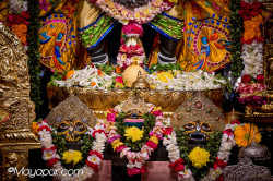 Daily Darshan