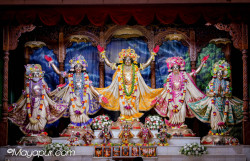 Daily Darshan