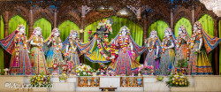 Daily Darshan