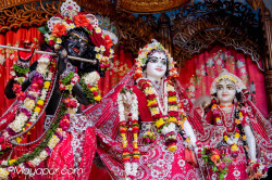 Daily Darshan