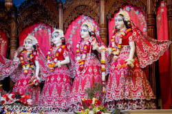 Daily Darshan