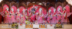 Daily Darshan