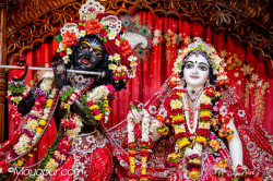 Daily Darshan