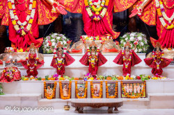 Daily Darshan