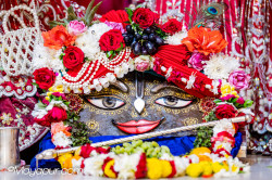 Daily Darshan
