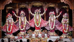 Daily Darshan